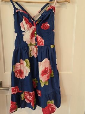 Abercrombie & Fitch Blue Floral Sundress Cottagecore Button Front Mini Dress S